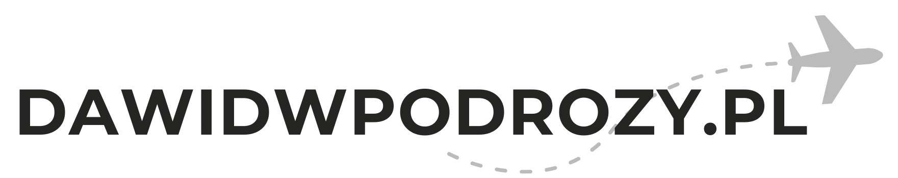 logo strony dawidwpodrozy header